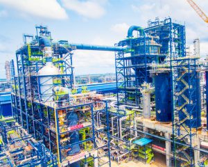 Shareholders Condemn Demarketing of Dangote Refinery